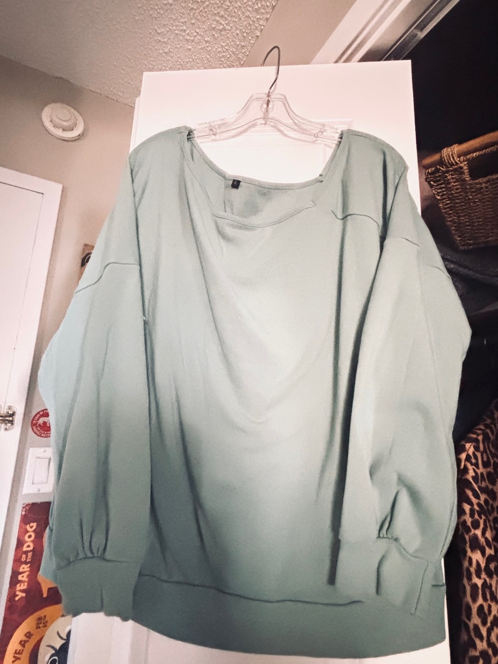 Relaxed Mint Green Pullover Top with left off shoulder